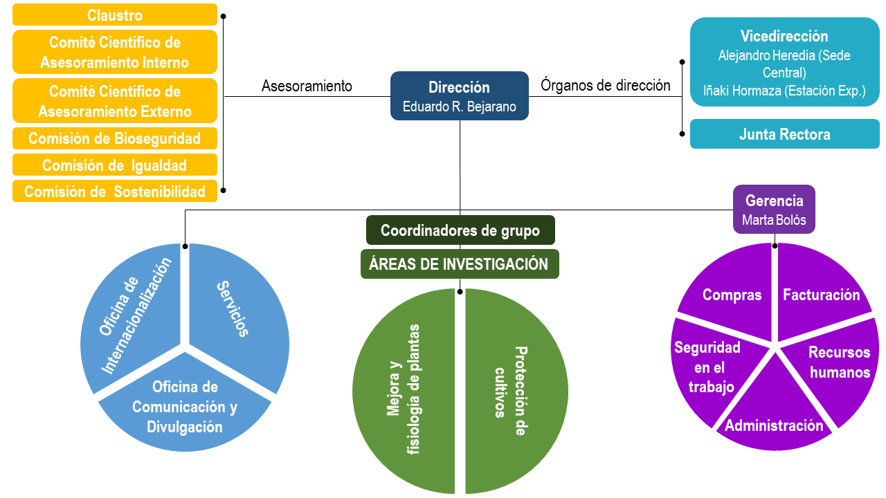 Organigrama